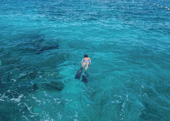 Turquesa Cozumel